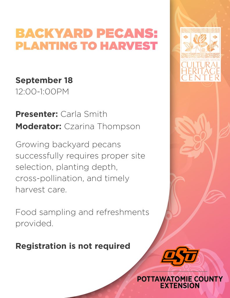 Backyard Pecans: Planting to Harvest with OSU Extension
