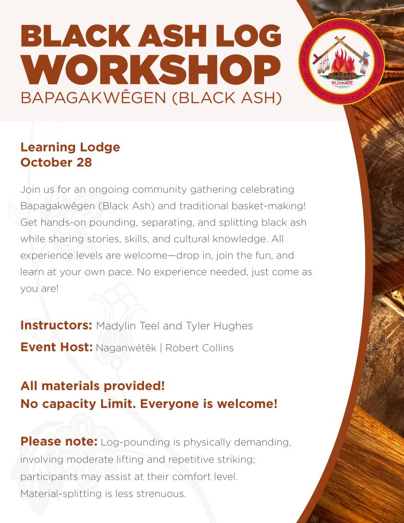 Black Ash Log Workshop – continued